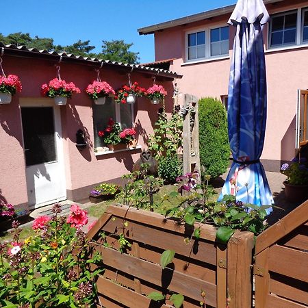 Ferienwohnung Duehne คูล็องสบอร์น ภายนอก รูปภาพ